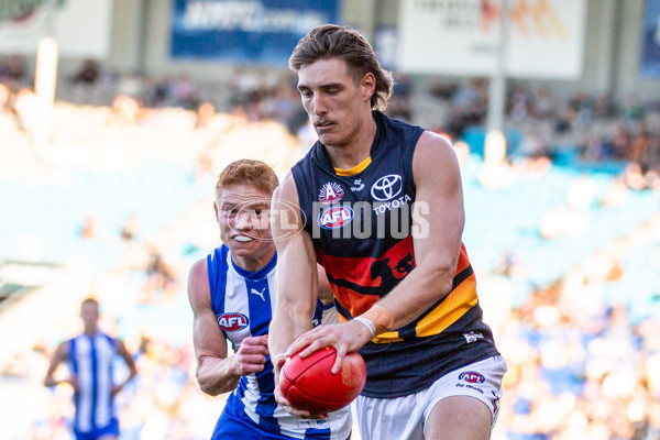 AFL 2024 Round 07 - North Melbourne v Adelaide - A-48218750