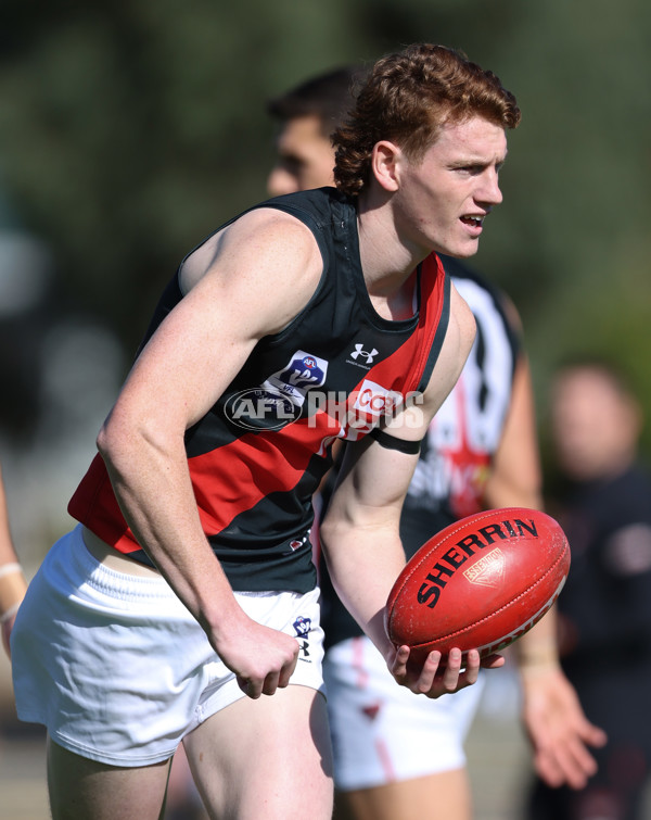 VFL 2024 Round 05  - Collingwood v Essendon - A-48218769