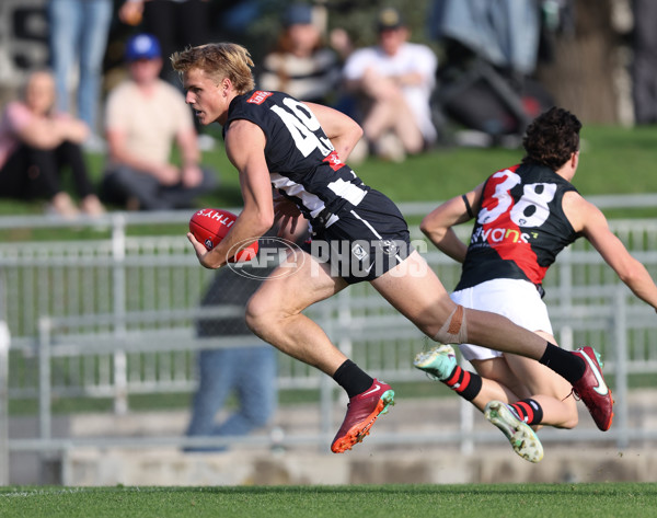 VFL 2024 Round 05  - Collingwood v Essendon - A-48218771