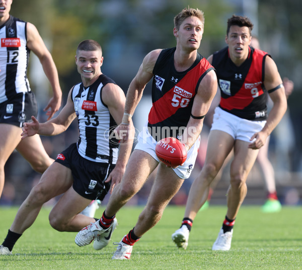 VFL 2024 Round 05  - Collingwood v Essendon - A-48218772