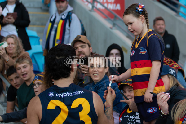 AFL 2024 Round 07 - North Melbourne v Adelaide - A-48218810