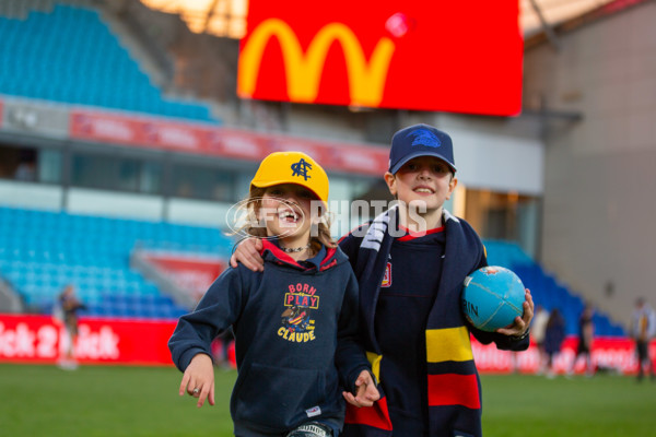 AFL 2024 Round 07 - North Melbourne v Adelaide - A-48218813