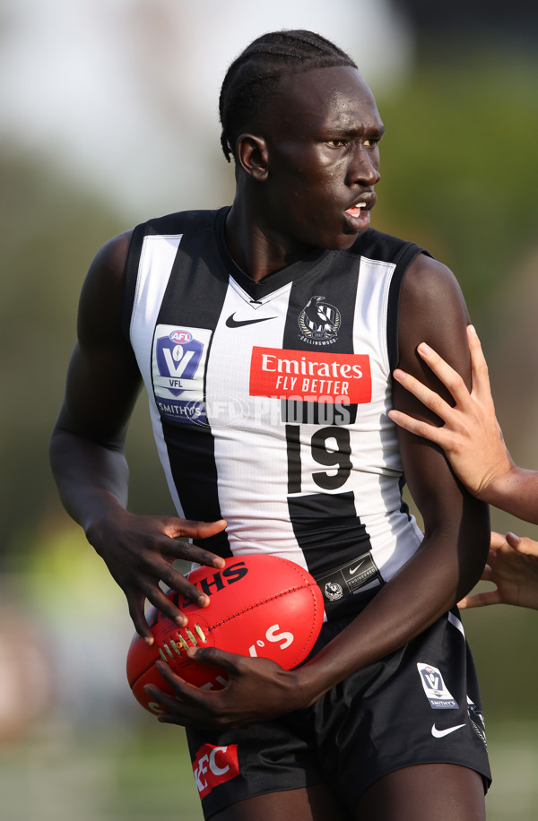 VFL 2024 Round 05  - Collingwood v Essendon - A-48220762