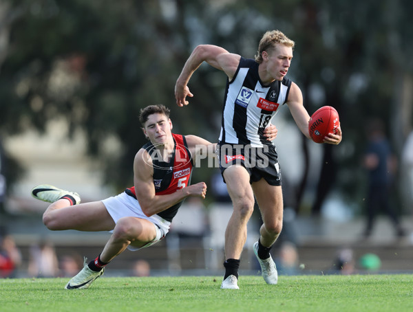 VFL 2024 Round 05  - Collingwood v Essendon - A-48220763