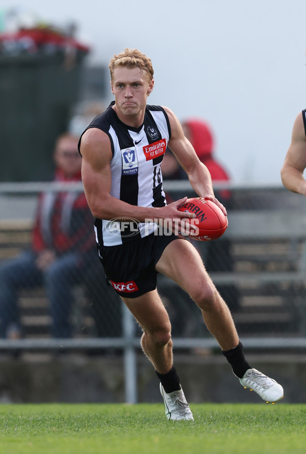 VFL 2024 Round 05  - Collingwood v Essendon - A-48221342