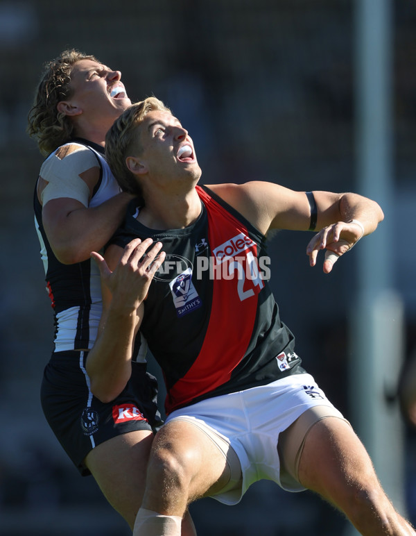 VFL 2024 Round 05  - Collingwood v Essendon - A-48221435