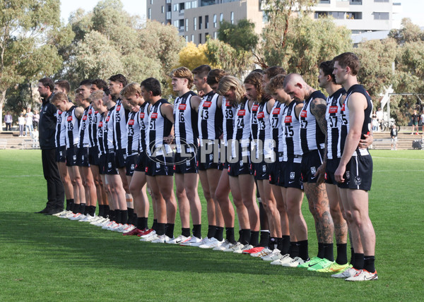 VFL 2024 Round 05  - Collingwood v Essendon - A-48223177