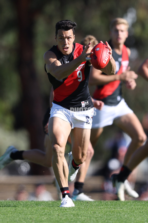 VFL 2024 Round 05  - Collingwood v Essendon - A-48223178