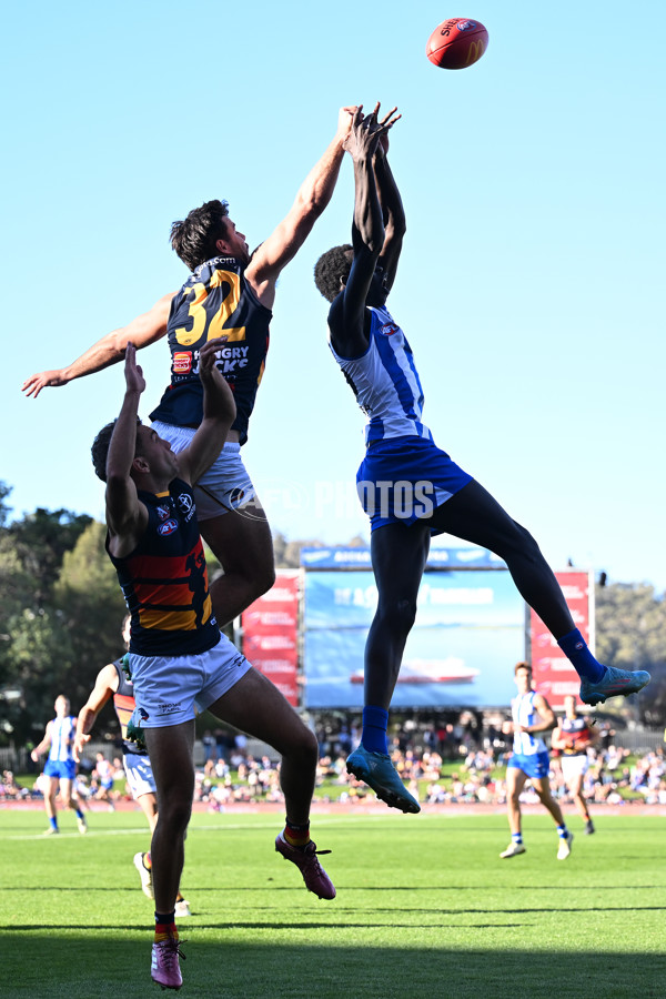 AFL 2024 Round 07 - North Melbourne v Adelaide - A-48223191