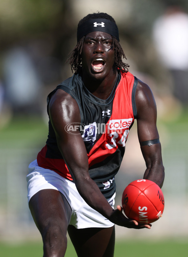 VFL 2024 Round 05  - Collingwood v Essendon - A-48223255