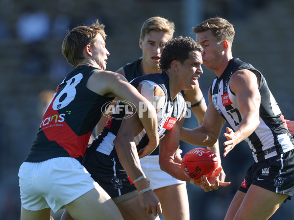 VFL 2024 Round 05  - Collingwood v Essendon - A-48223257