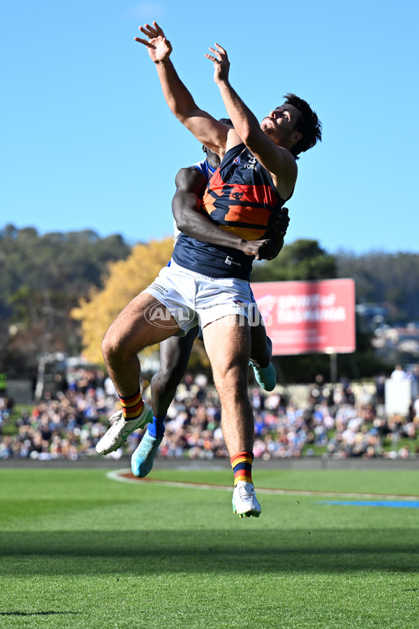 AFL 2024 Round 07 - North Melbourne v Adelaide - A-48223681