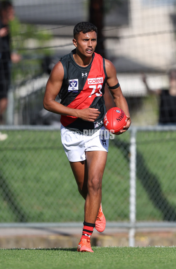 VFL 2024 Round 05  - Collingwood v Essendon - A-48223736