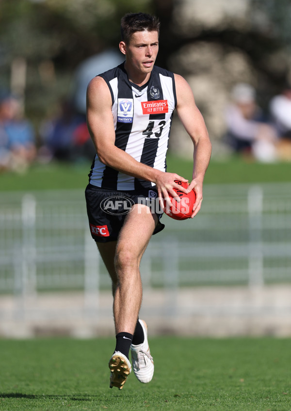 VFL 2024 Round 05  - Collingwood v Essendon - A-48223738