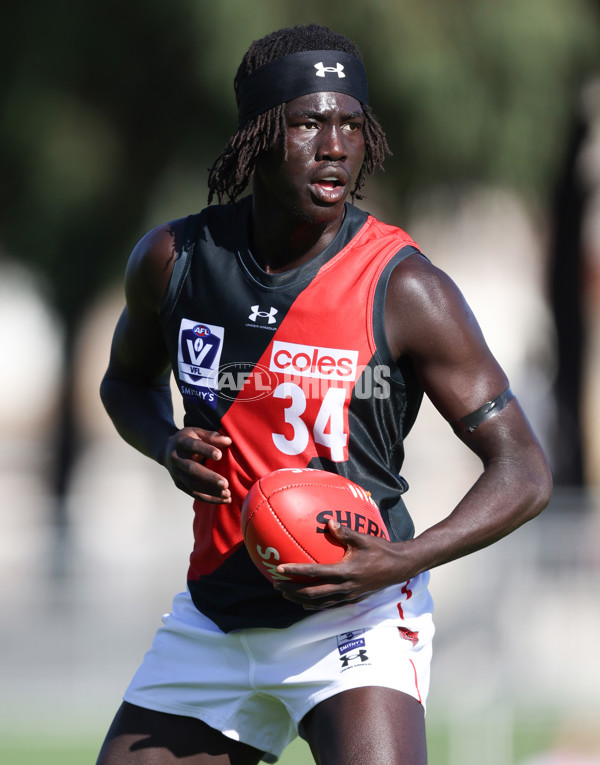 VFL 2024 Round 05  - Collingwood v Essendon - A-48223739