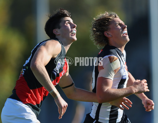 VFL 2024 Round 05  - Collingwood v Essendon - A-48223740