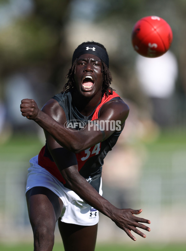 VFL 2024 Round 05  - Collingwood v Essendon - A-48223741