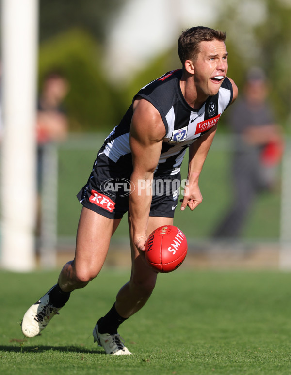 VFL 2024 Round 05  - Collingwood v Essendon - A-48225749