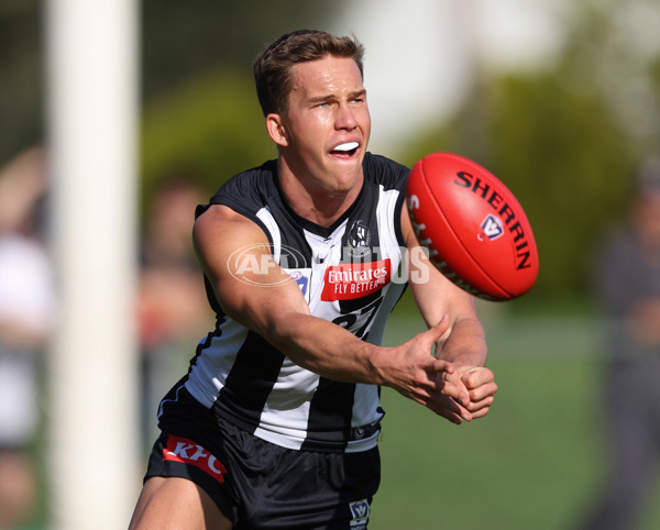 VFL 2024 Round 05  - Collingwood v Essendon - A-48225750