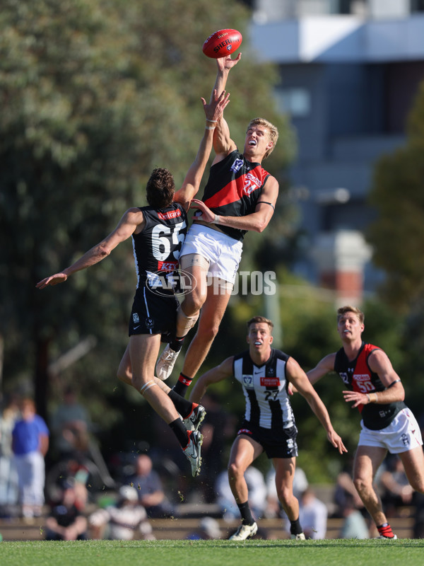 VFL 2024 Round 05  - Collingwood v Essendon - A-48225751