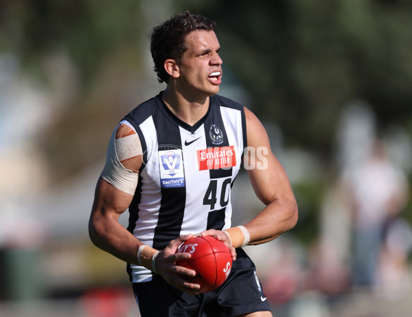 VFL 2024 Round 05  - Collingwood v Essendon - A-48225752