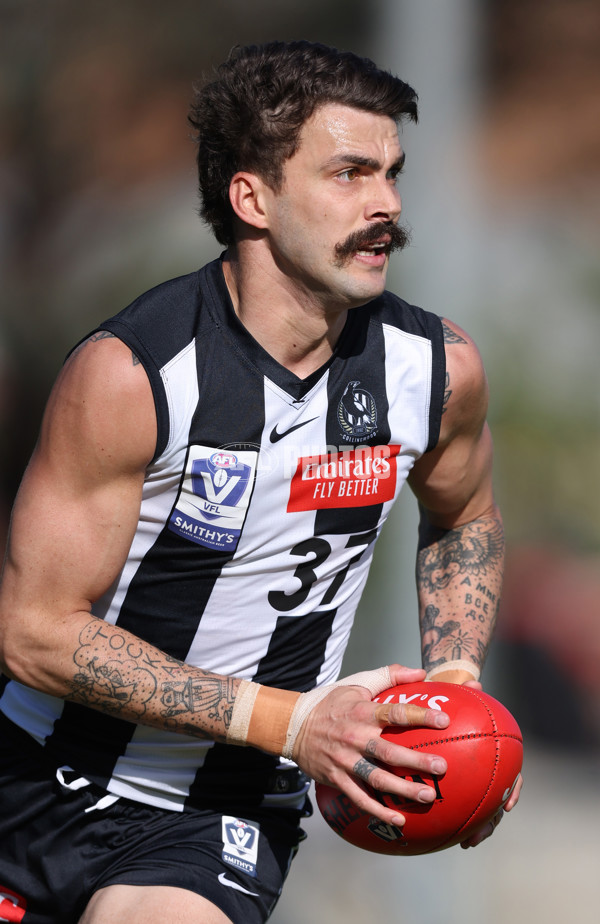 VFL 2024 Round 05  - Collingwood v Essendon - A-48225753