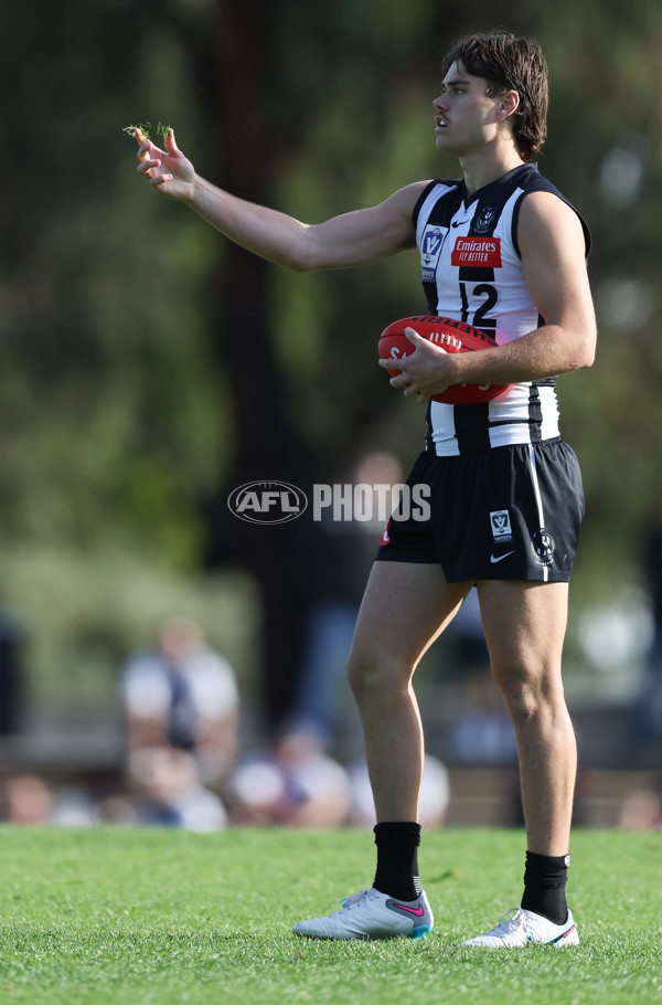 VFL 2024 Round 05  - Collingwood v Essendon - A-48225777