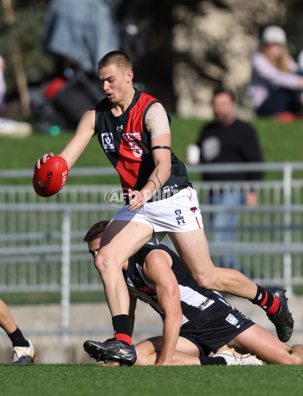 VFL 2024 Round 05  - Collingwood v Essendon - A-48226424