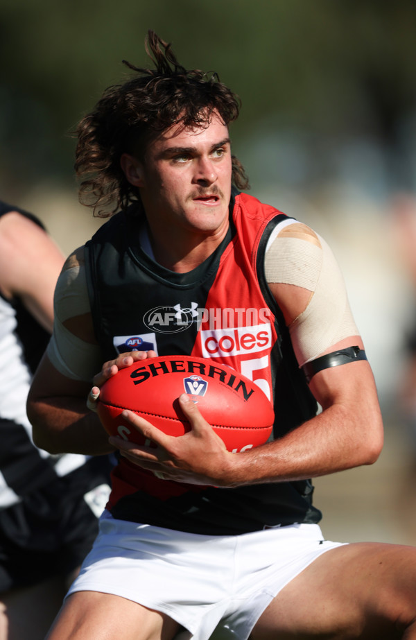 VFL 2024 Round 05  - Collingwood v Essendon - A-48226426