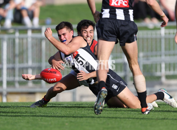 VFL 2024 Round 05  - Collingwood v Essendon - A-48226451