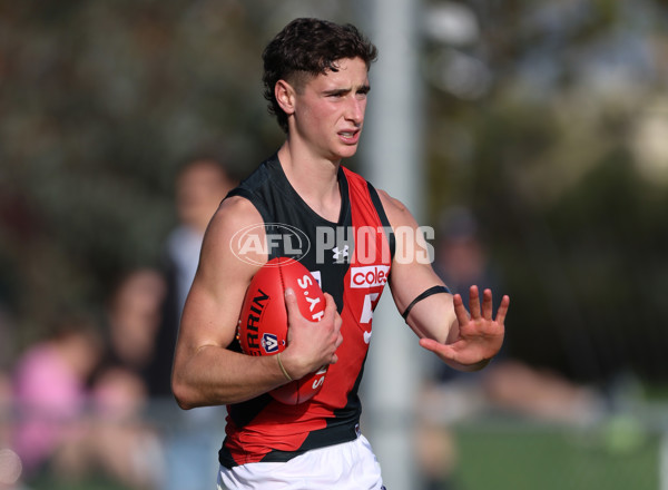 VFL 2024 Round 05  - Collingwood v Essendon - A-48226452