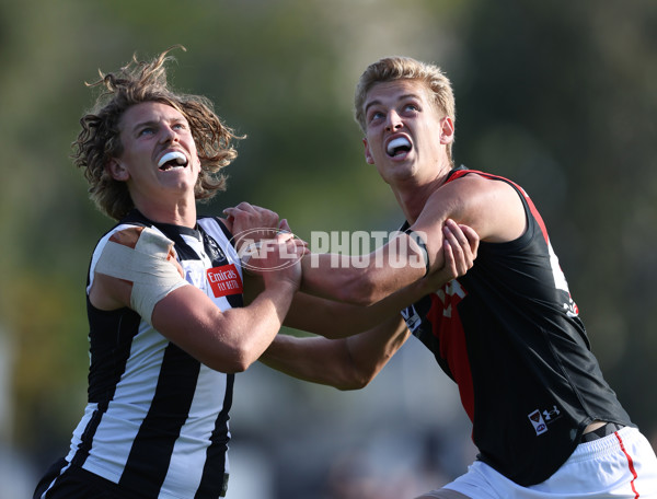 VFL 2024 Round 05  - Collingwood v Essendon - A-48226453