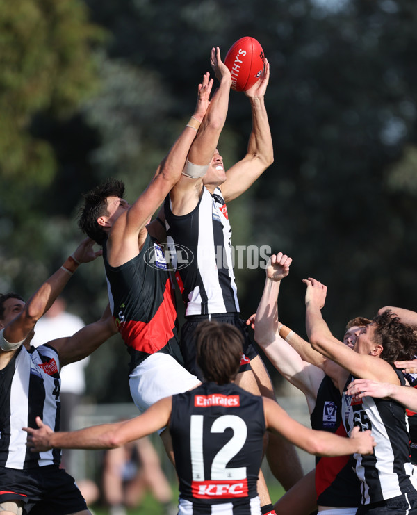 VFL 2024 Round 05  - Collingwood v Essendon - A-48226455