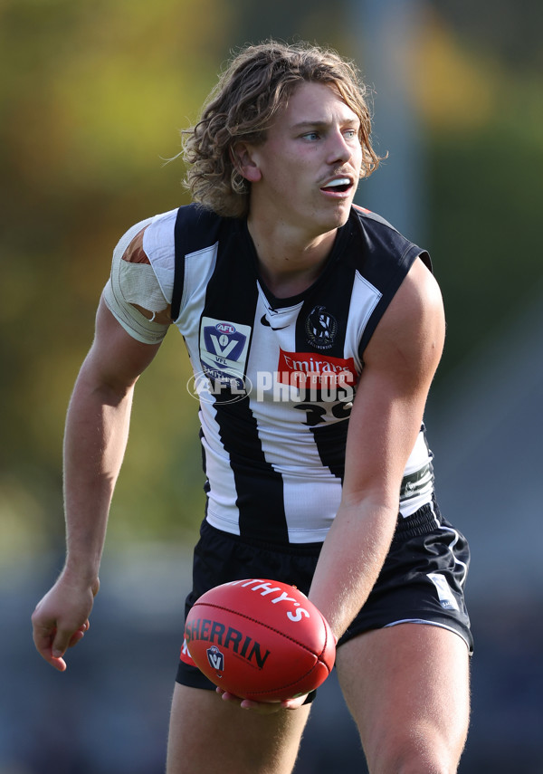 VFL 2024 Round 05  - Collingwood v Essendon - A-48229004