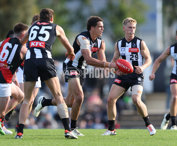 VFL 2024 Round 05  - Collingwood v Essendon - A-48229005