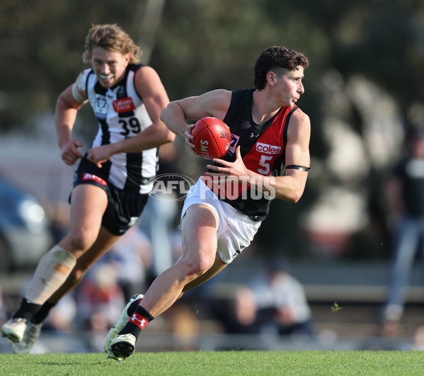 VFL 2024 Round 05  - Collingwood v Essendon - A-48229006