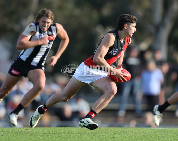 VFL 2024 Round 05  - Collingwood v Essendon - A-48229007