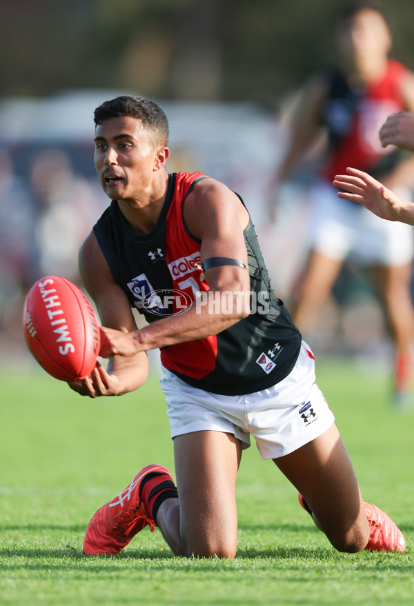 VFL 2024 Round 05  - Collingwood v Essendon - A-48230657