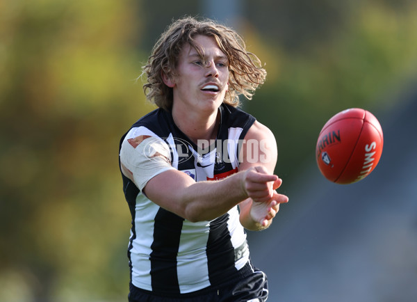 VFL 2024 Round 05  - Collingwood v Essendon - A-48230659