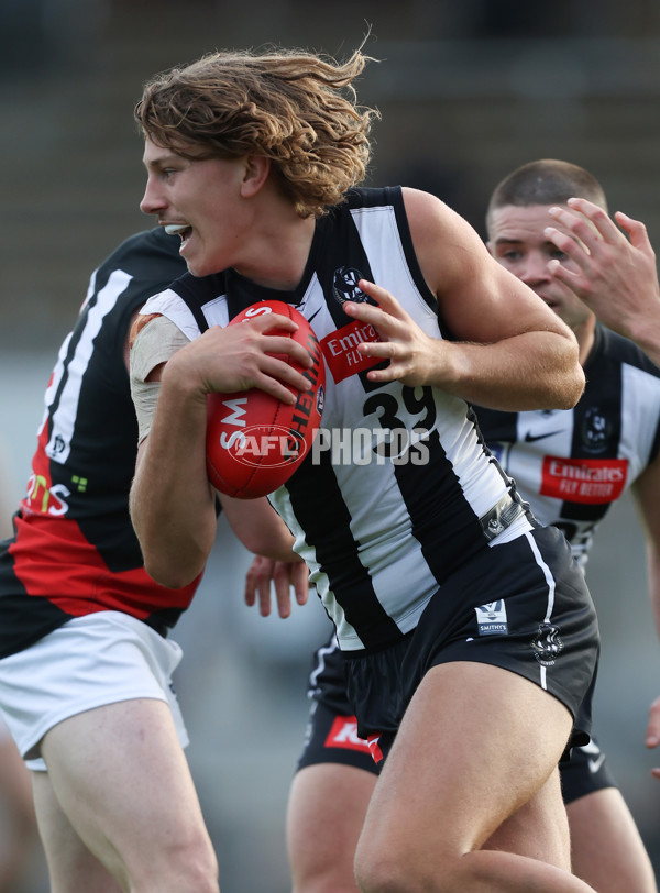 VFL 2024 Round 05  - Collingwood v Essendon - A-48233207