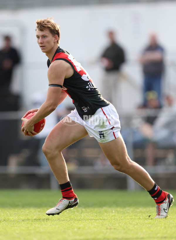 VFL 2024 Round 05  - Collingwood v Essendon - A-48233208