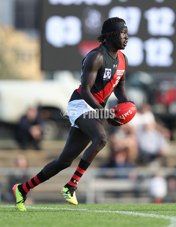 VFL 2024 Round 05  - Collingwood v Essendon - A-48233209