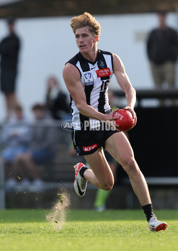 VFL 2024 Round 05  - Collingwood v Essendon - A-48233211