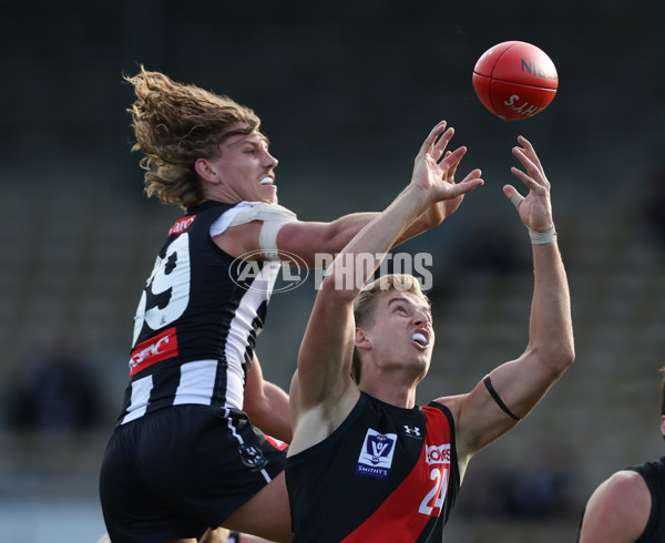 VFL 2024 Round 05  - Collingwood v Essendon - A-48233212