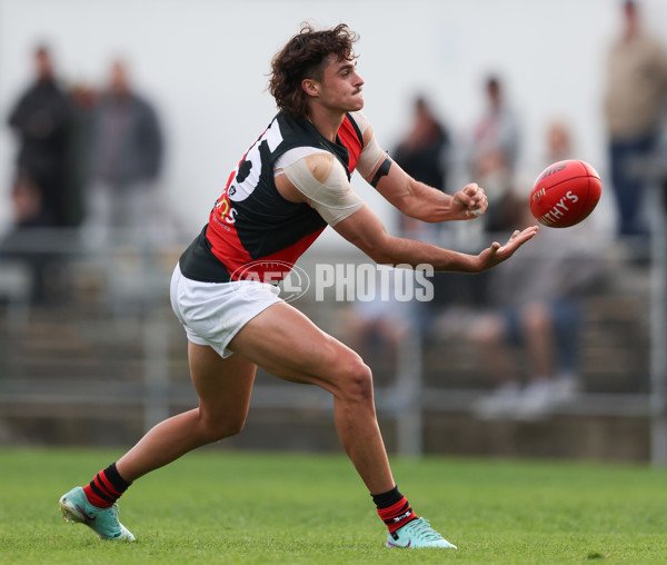 VFL 2024 Round 05  - Collingwood v Essendon - A-48233214