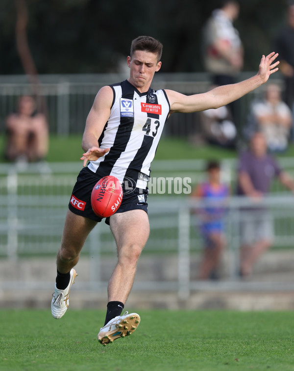 VFL 2024 Round 05  - Collingwood v Essendon - A-48233976