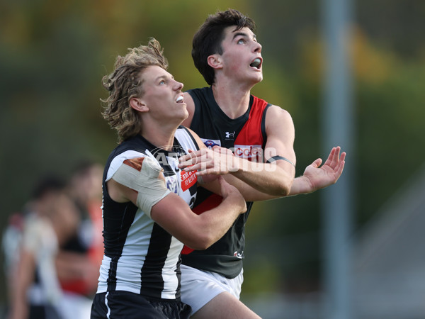 VFL 2024 Round 05  - Collingwood v Essendon - A-48233978