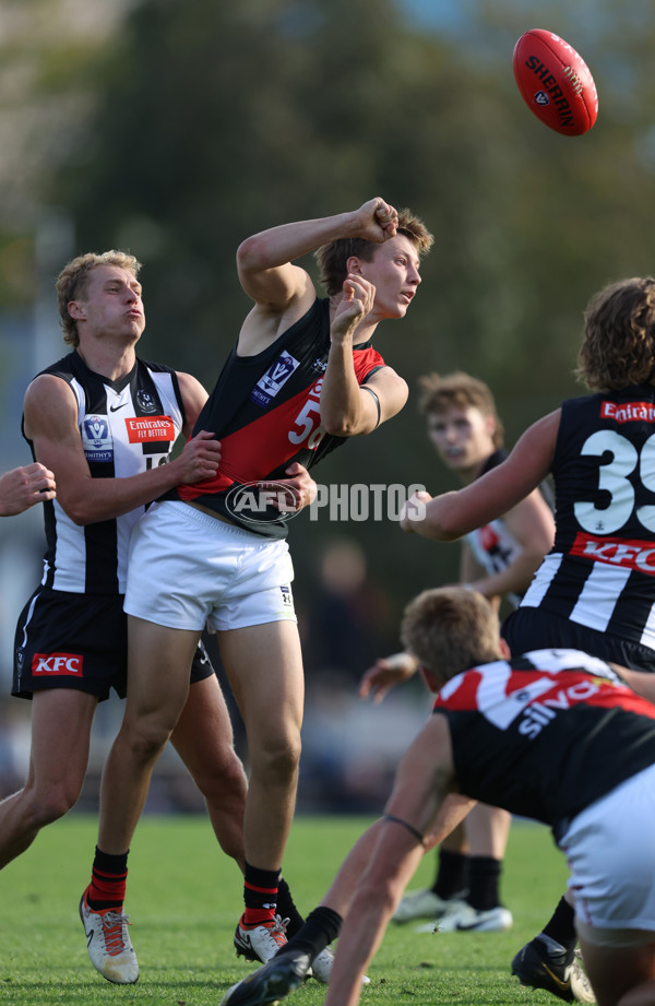 VFL 2024 Round 05  - Collingwood v Essendon - A-48233980