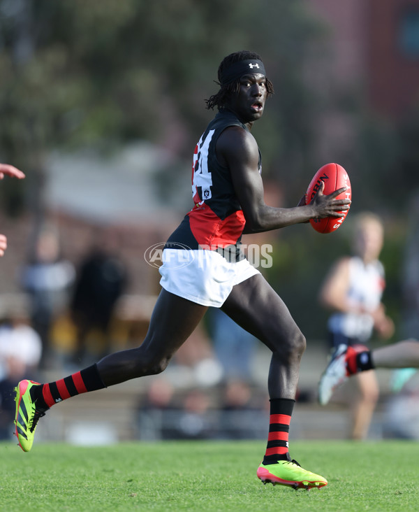 VFL 2024 Round 05  - Collingwood v Essendon - A-48233981