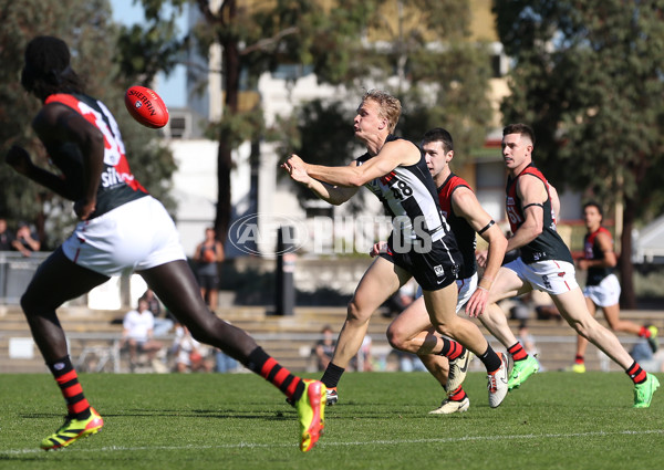 VFL 2024 Round 05  - Collingwood v Essendon - A-48235629